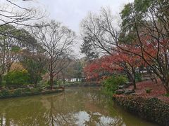 -秋霞圃