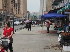 -杨柳河(地铁站)