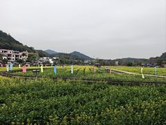 -红山村