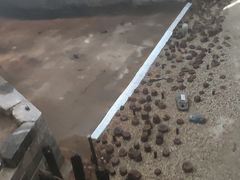 -元代水闸遗址博物馆