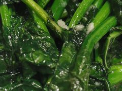 -周锦记广式餐厅(格林生活坊2期店)