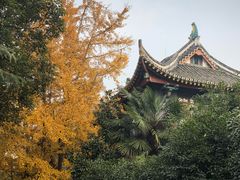 -四川大学(华西校区)