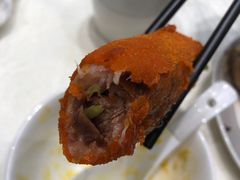 -丁老爷子苏香圆