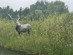 -溱湖国家湿地公园