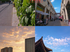 -大青山野生动物园