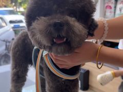 -宠福鑫康馨动物医院·骨科·眼科