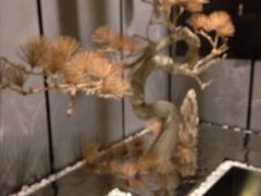 -桐爷小馆(广渠门店)