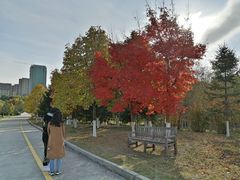 -长春世界雕塑园冰雪艺术天地