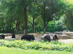 -北京野生动物园