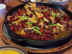 -老板恋上鱼(恒隆广场店)