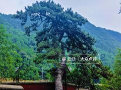 -潭柘寺景区
