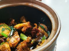 -长城砂煲田鸡粥