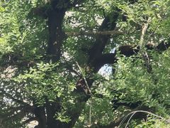 -哈尔滨北方森林动物园