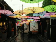 -天目湖山水园