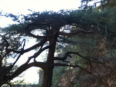 景点-大明山自然探索公园