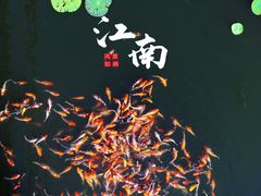 -昆山城市生态森林公园