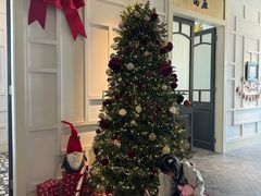 -22ºN BISTRO西餐&酒馆(石奥商业街店)