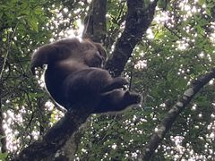 -西岭雪山大飞水景区