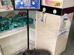 -安安宠医·安宠宠物医院