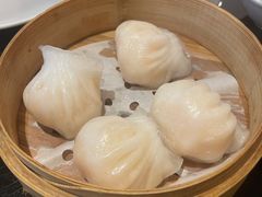 -高第街56号港式餐厅·精选(世茂广场宽厚里大明湖店)