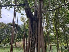 -龙头寺公园
