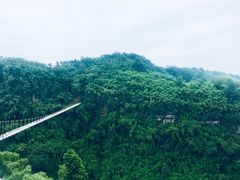 -川西竹海景区