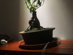 -泽云足心道·按摩足浴养生SPA(高铁站店)