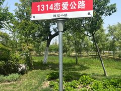 -南通鲜花小镇