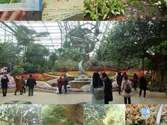 -南山植物园