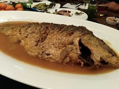 红烧黄河大鲤鱼-阿庄新豫菜(航海东路店)
