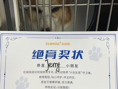 -宠颐生斯嘉宠物医院·急重症·心内科(谷阳北路分院)