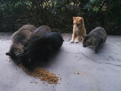 android_upload_pic-广东中医药博物馆