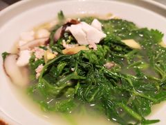 上汤桑叶苗-大榕树下顺德菜(融创茂店)