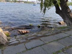 -长春市南湖公园