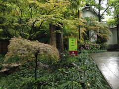 -山外山菜馆(玉泉路店)