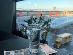 -谢列梅捷沃国际机场