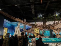 -国家自然博物馆