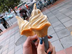 -阿捡忭京炸鸡(韭菜园总店)