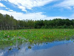 -东郊湿地公园