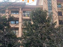 -上海星河湾双语学校