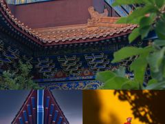 -黔灵山公园