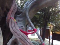 -石老人观光园