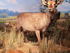 -陕西自然博物馆