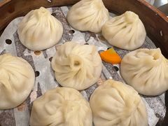 -莱莱小笼·乔艾