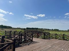 -上海海湾国家森林公园