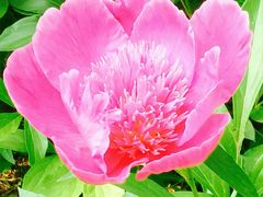 -长春公园(普阳街道)