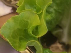 -九田家黑牛烤肉料理(衡百国际店)