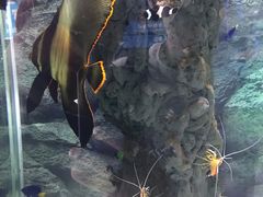 -厦门海底世界
