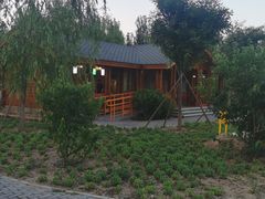 -东郊湿地公园