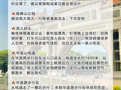 -陶缘一号·四季缘·老字号顺德菜·户外婚礼家宴(西滘店)